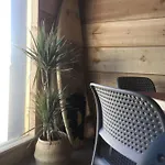 Carving Surf